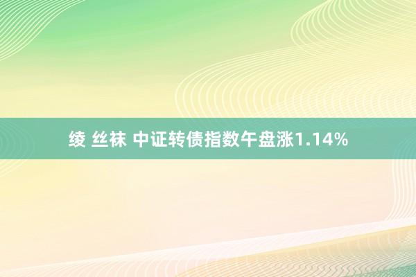 绫 丝袜 中证转债指数午盘涨1.14%