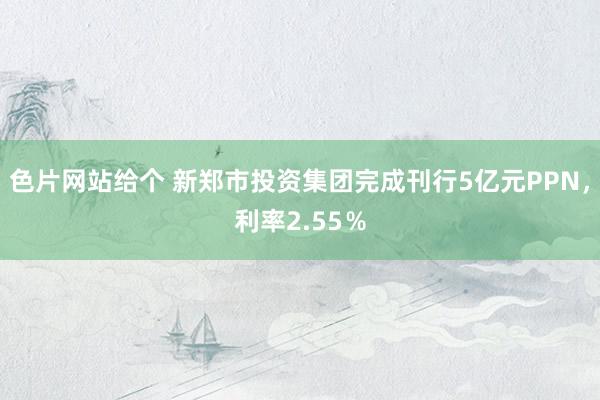 色片网站给个 新郑市投资集团完成刊行5亿元PPN，利率2.55％