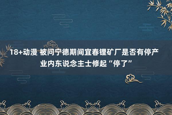 18+动漫 被问宁德期间宜春锂矿厂是否有停产  业内东说念主士修起“停了”