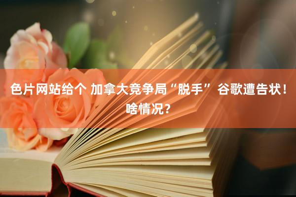 色片网站给个 加拿大竞争局“脱手” 谷歌遭告状！啥情况？