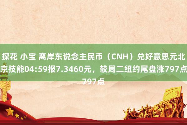 探花 小宝 离岸东说念主民币（CNH）兑好意思元北京技能04:59报7.3460元，较周二纽约尾盘涨797点